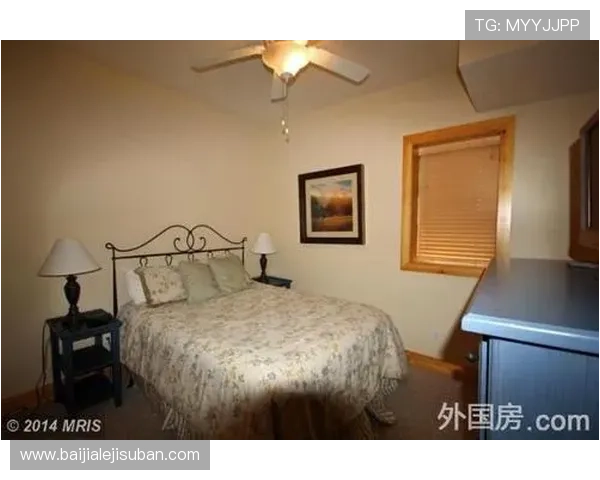 探索PA直营官网详细介绍，了解公司背景、产品优势及售后服务保障