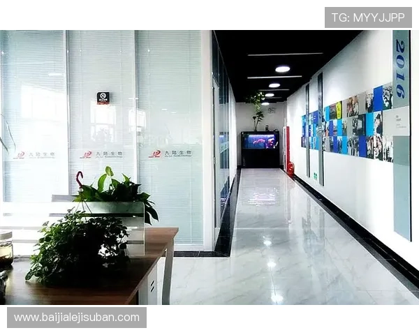 凯发真人平台客户服务体系全面升级提供全天候专业支持